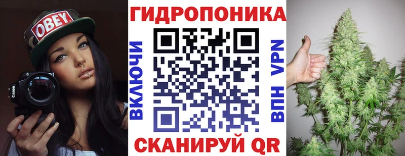 Купить закладку Бутират СОЛЬ Лсд 25 ГАШИШ Меф мяу мяу Ясногорск