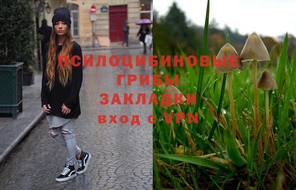 гашик Вязники
