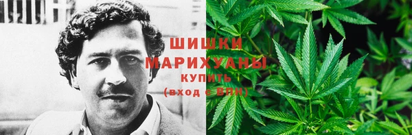 сатива Вязьма