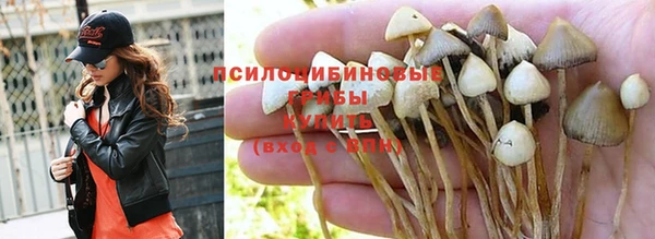 МДМА Вяземский