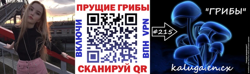 Купить  Ясногорск  Псилоцибиновые грибы Cubensis 